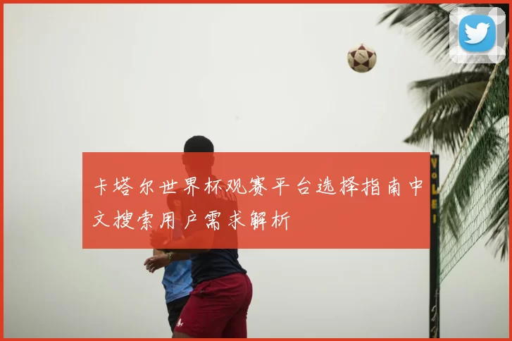 卡塔尔世界杯观赛平台选择指南中文搜索用户需求解析
