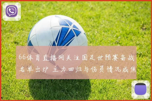 66体育直播网关注国足世预赛备战名单出炉 主力回归与伤员情况成焦点