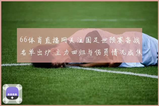 66体育直播网关注国足世预赛备战名单出炉 主力回归与伤员情况成焦点