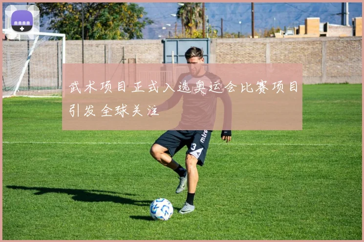 武术项目正式入选奥运会比赛项目引发全球关注