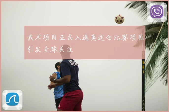 武术项目正式入选奥运会比赛项目引发全球关注