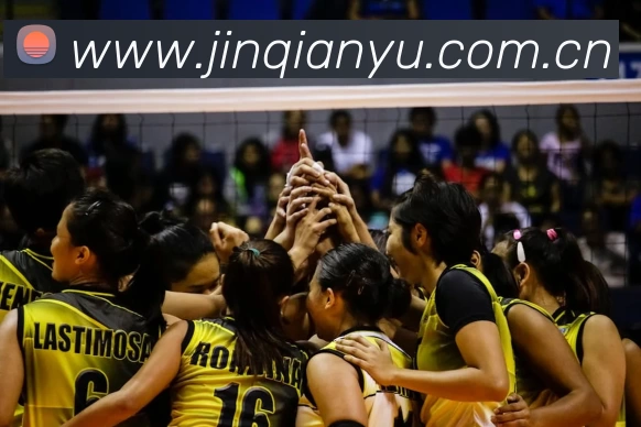 B体育·(B - sports)官方网站APP 体育赛事宣传图